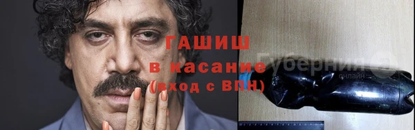 индика Верхний Тагил