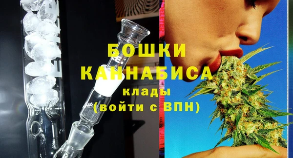 индика Верхний Тагил