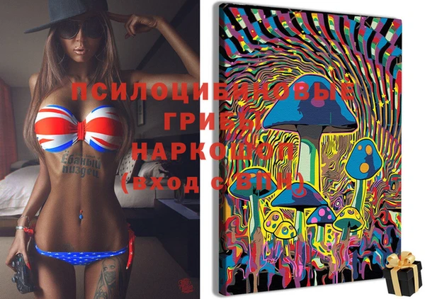 индика Верхний Тагил