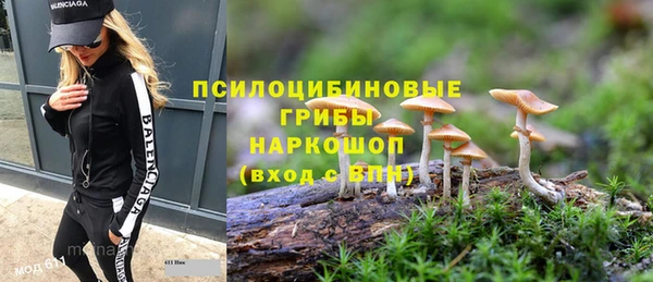 индика Верхний Тагил