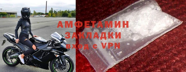 индика Верхний Тагил