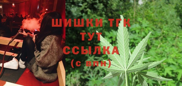 индика Верхний Тагил