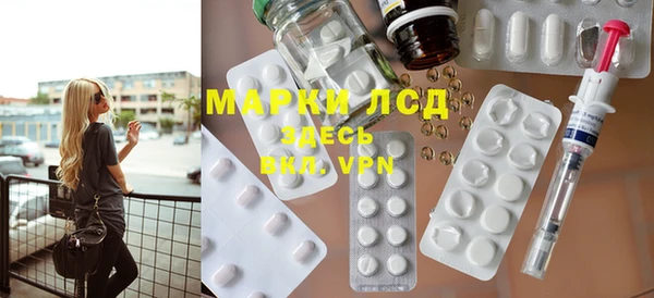 индика Верхний Тагил