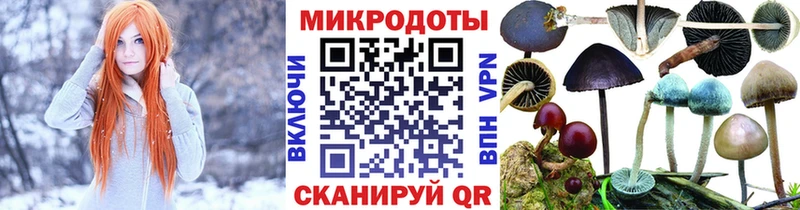 купить  цена  площадка Telegram  Галлюциногенные грибы GOLDEN TEACHER  Новочеркасск 